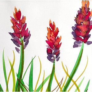 Summer Canna 2 - Original Wall Art Watercolor Painting Matted Frame Ready 11”x14